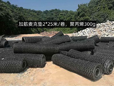 加筋麥克墊網(wǎng)格8*10cm,聚丙烯質(zhì)量300g,多少錢，怎么賣？